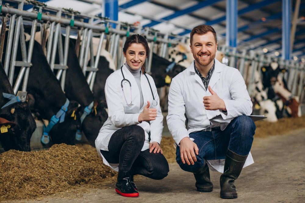 בגדי עבודה וטרינרים