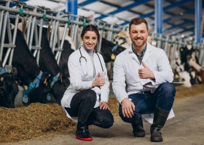 בגדי עבודה וטרינרים